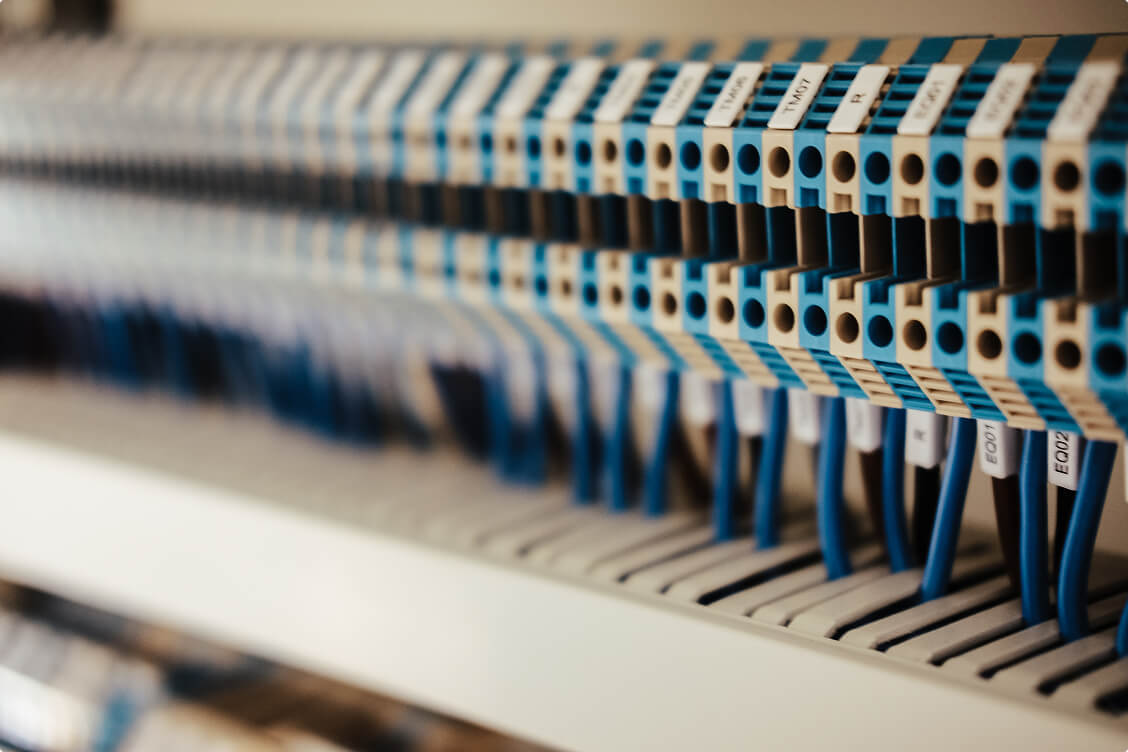 Close-up of structured network cabling system with labeled blue wires connected to a patch panel for organized data management.